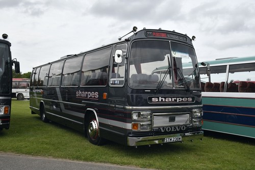 Sharpes nottingham stm238w - sharpes,