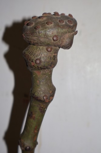 Antique natural wood burl - natural,