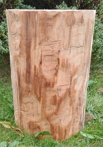 Tree stump - , real