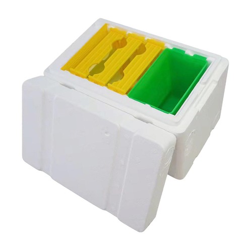 Bee queen rearing - queen, system