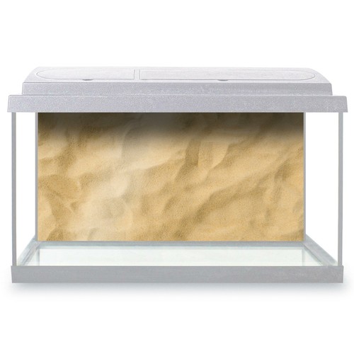 Fish tank background - fish,