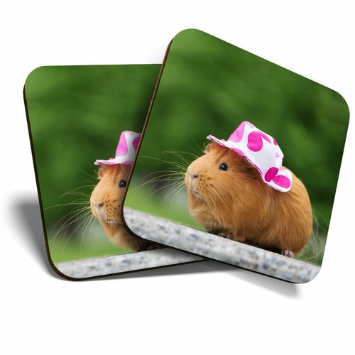 Coasters sweet guinea - 2,