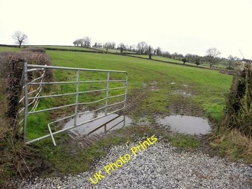 Photo 6x4 open - an, field