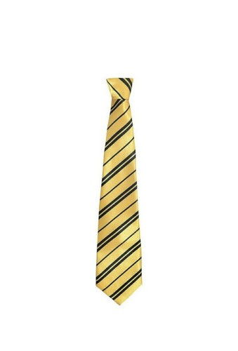 Wizard tie for harry - for,