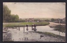 Cookham Moor, Maidenhead - Unused Postcard, early 1900s - W. Shergold & Son