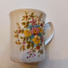 Elizabethan Staffordshire Bone