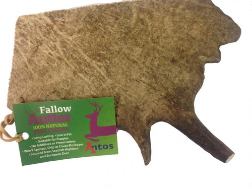 Antos fallow natural - antos, dog