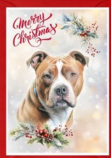 Staffordshire Bull Terrier