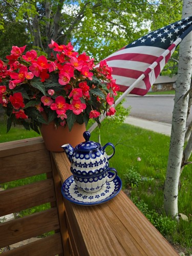 Blue rose polish pottery - blue,