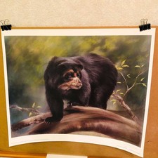 Joel Kirk Signed Limited