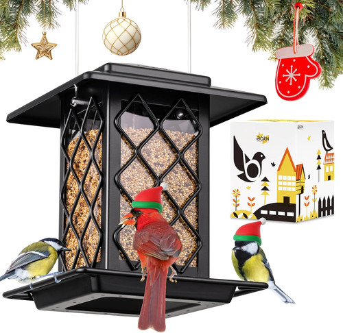 Bird feeders for outdoors - bird,