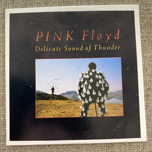 Pink floyd delicate sound - floyd-delicate,