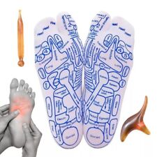Acupressure Reflexology Foot