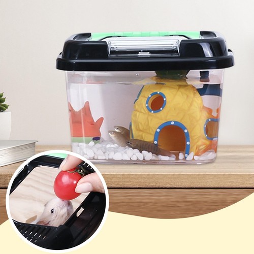 Reptile cricket keeper - cricket,