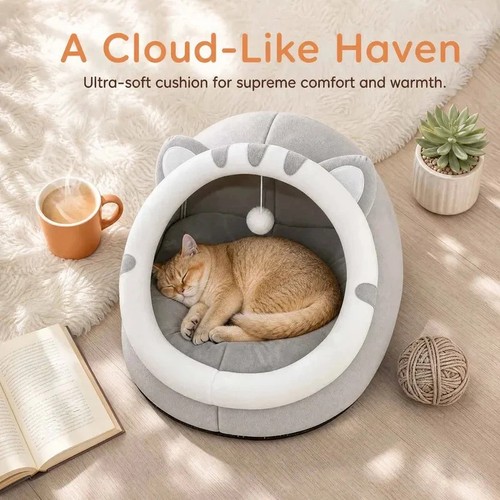 Pet cute cat warm soft - cat,