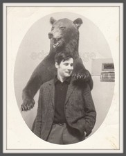 Big bear Beast Taxidermy