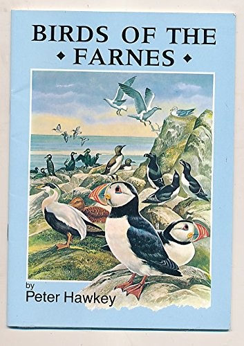 Birds the farne - birds,