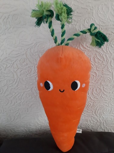 Large orange carrot - orange, soft