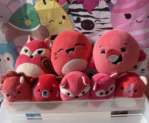X8 squishmallows mini - x8,