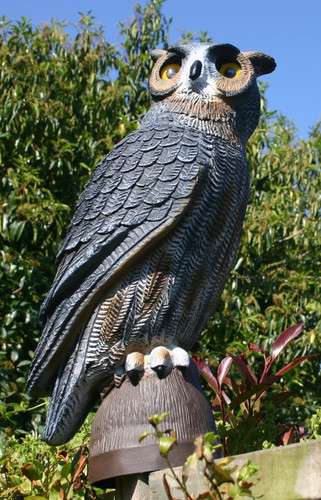 Crow decoy flambeau high - decoy,