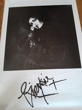 ORIGINAL SIOUXSIE AND THE