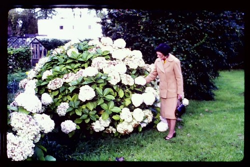 1979 35mm slide - 1979,
