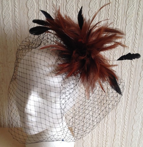 Brown feather black veiling - brown,