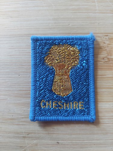 Scouting cointy badge - uk,