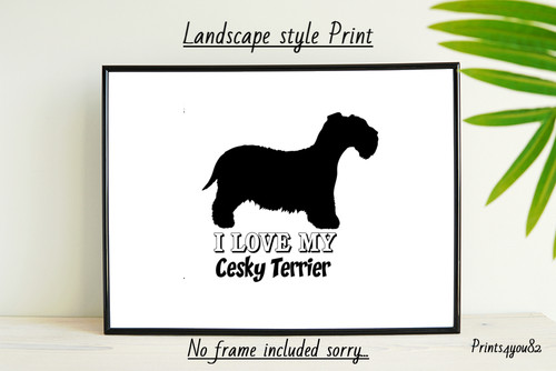 Cesky terrier dog pet - dog, a4