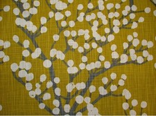 Metre cherry blossom mimosa - 8,