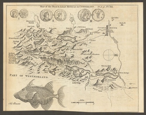 The black lead mines - black, in