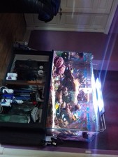 Custom built marine aquarium
