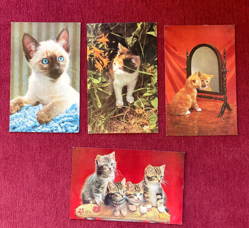 Lot vintage beautiful - lot,
