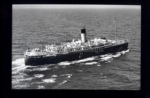 Gb0313 bibby line - gb0313,