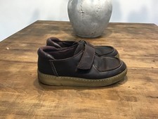 Kangaroos Wallabies , Desert