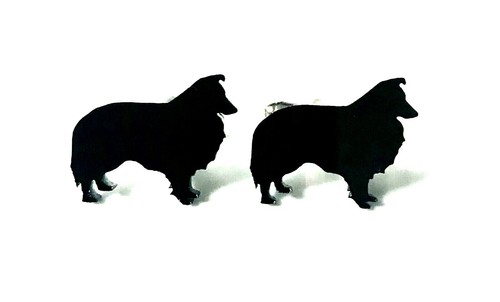 Sheltie shetland sheep dog - shetland,