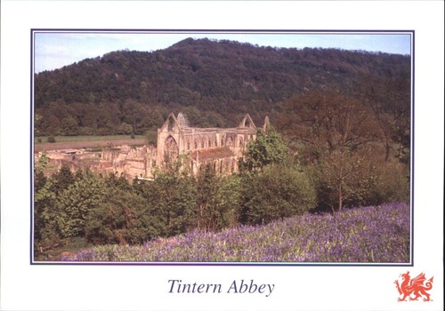 Celtic camera tintern abbey - celtic,