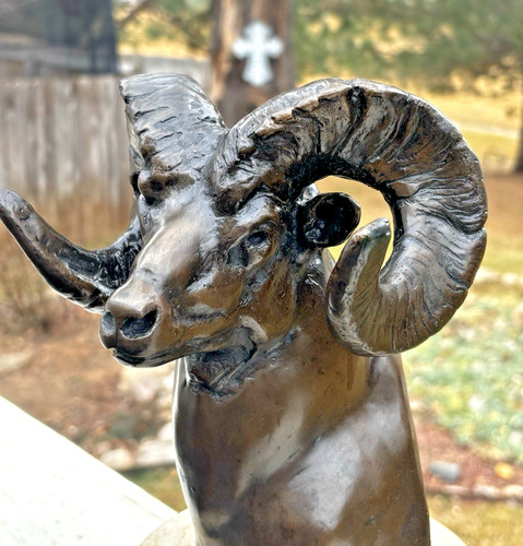 Stephen leblanc bighorn - stephen, c