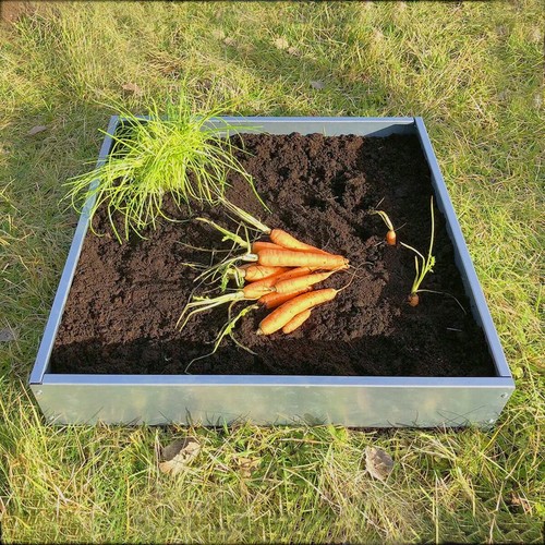 Garden landscaping border - garden,