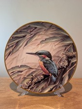 Kingfisher from RSPB Centenary