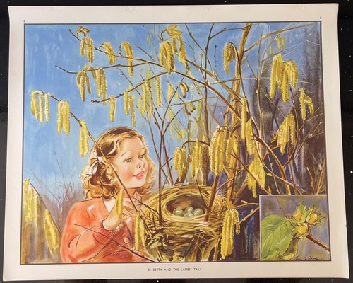 Vintage 1950s enid blyton - 1950s,