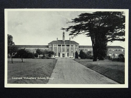 Berkshire slough licensed - berkshire,