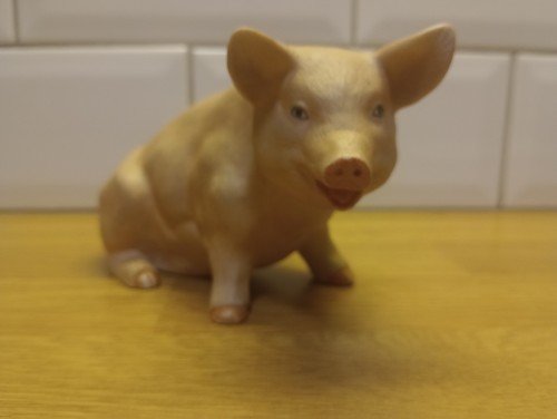 Aynsley pig - aynsley,