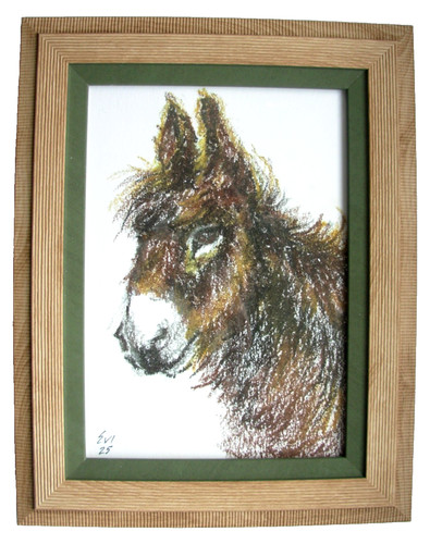 Donkey framed original oil - donkey,