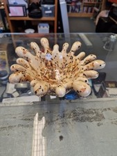 Unique Handmade Art Ceramic