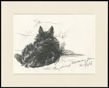 SCOTTISH TERRIER VINTAGE 1937