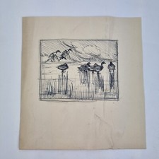 Sir Peter Markham Scott