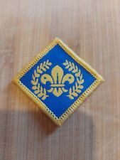 Current UK Scouting Explorer Scouts Chief Scout Platinum Award OLD LOGO