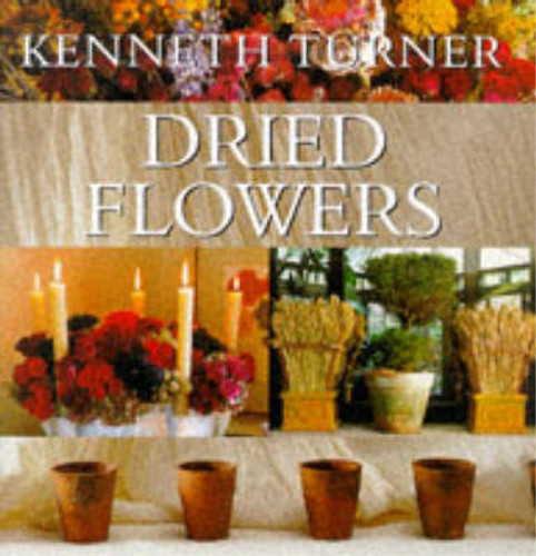 Dried flowers kenneth - dried, flowers,