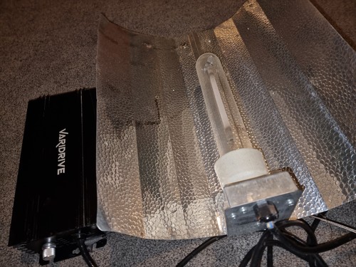 200w 1000w hps - -, grow